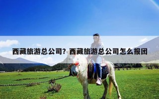 西藏旅游總公司？西藏旅游總公司怎么報團