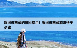 跟團去西藏的報團費用？報團去西藏旅游得多少錢