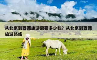 從北京到西藏旅游需要多少錢？從北京到西藏旅游路線