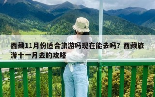 西藏11月份適合旅游嗎現在能去嗎？西藏旅游十一月去的攻略