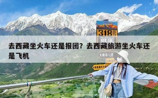 去西藏坐火車還是報團？去西藏旅游坐火車還是飛機