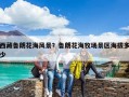 西藏魯朗花海風景？魯朗花海牧場景區海拔多少