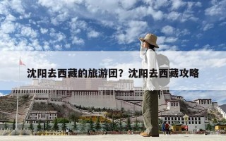 沈陽去西藏的旅游團？沈陽去西藏攻略