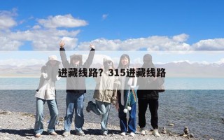 進(jìn)藏線路？315進(jìn)藏線路