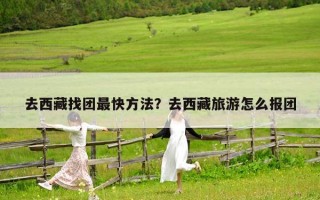 去西藏找團最快方法？去西藏旅游怎么報團