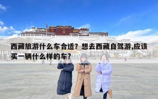 西藏旅游什么車合適？想去西藏自駕游,應該買一輛什么樣的車?