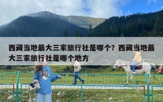 西藏當?shù)刈畲笕衣眯猩缡悄膫€？西藏當?shù)刈畲笕衣眯猩缡悄膫€地方