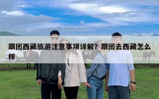 跟團西藏旅游注意事項詳解？跟團去西藏怎么樣