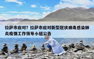 拉薩市應(yīng)對(duì)？拉薩市應(yīng)對(duì)新型冠狀病毒感染肺炎疫情工作領(lǐng)導(dǎo)小組公告