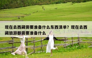 現在去西藏需要準備什么東西清單？現在去西藏旅游都需要準備什么