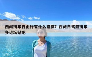 西藏拼車自由行有什么貓膩？西藏自駕游拼車多論壇貼吧