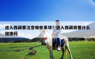 進入西藏要注意哪些事項？進入西藏需要什么健康碼