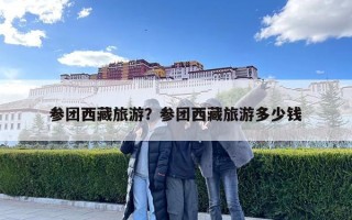 參團(tuán)西藏旅游？參團(tuán)西藏旅游多少錢