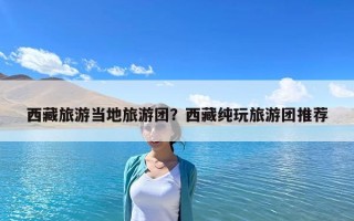 西藏旅游當地旅游團？西藏純玩旅游團推薦