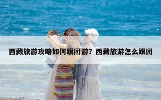 西藏旅游攻略如何跟團游?西藏旅游怎么跟團 西藏旅游攻略如何跟團游?西藏旅游怎么跟團