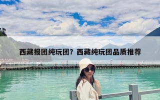 西藏報(bào)團(tuán)純玩團(tuán)？西藏純玩團(tuán)品質(zhì)推薦