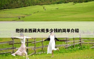 抱團(tuán)去西藏大概多少錢(qián)的簡(jiǎn)單介紹