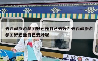 去西藏旅游參團好還是自己去好？去西藏旅游參團好還是自己去好呢