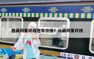 西藏阿里環線包車價格？川藏阿里環線