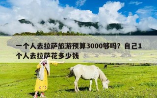一個人去拉薩旅游預(yù)算3000夠嗎？自己1個人去拉薩花多少錢