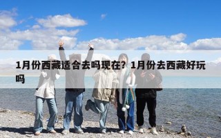 1月份西藏適合去嗎現(xiàn)在？1月份去西藏好玩嗎