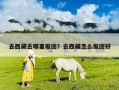 去西藏去哪里報團？去西藏怎么報團好