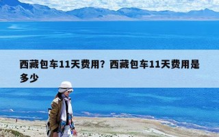 西藏包車11天費用？西藏包車11天費用是多少