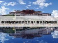 春節(jié)期間西藏旅游怎么樣？春節(jié)去西藏旅游