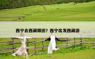 西寧去西藏跟團？西寧出發西藏游