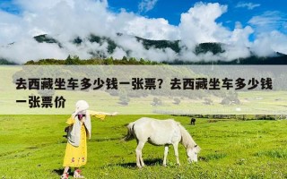 去西藏坐車多少錢一張票？去西藏坐車多少錢一張票價