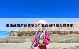 去西藏旅游花費多少？去西藏花費大概多少