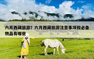 六月西藏旅游？六月西藏旅游注意事項和必備物品有哪些
