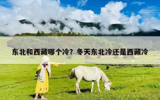 東北和西藏哪個冷？冬天東北冷還是西藏冷