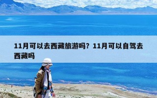 11月可以去西藏旅游嗎？11月可以自駕去西藏嗎