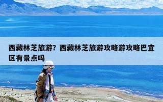 西藏林芝旅游？西藏林芝旅游攻略游攻略巴宜區有景點嗎