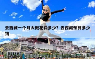 去西藏一個(gè)月大概花費(fèi)多少？去西藏預(yù)算多少錢
