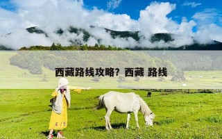 西藏路線攻略？西藏 路線