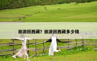旅游團西藏？旅游團西藏多少錢