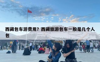 西藏包車游費用？西藏旅游包車一般是幾個人包
