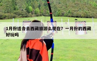 1月份適合去西藏旅游么現(xiàn)在？一月份的西藏好玩嗎