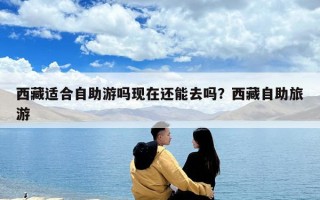 西藏適合自助游嗎現在還能去嗎？西藏自助旅游