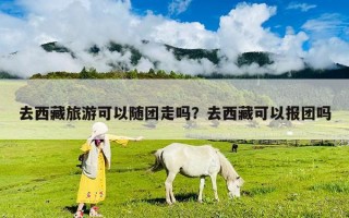 去西藏旅游可以隨團(tuán)走嗎？去西藏可以報(bào)團(tuán)嗎