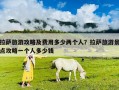 拉薩旅游攻略及費用多少兩個人？拉薩旅游景點攻略一個人多少錢