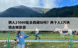 倆人15000能去西藏玩嗎？?jī)蓚€(gè)人1萬塊錢去哪旅游