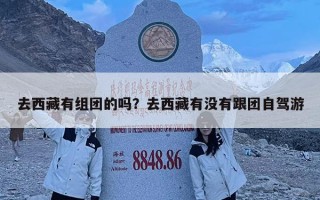 去西藏有組團(tuán)的嗎？去西藏有沒(méi)有跟團(tuán)自駕游