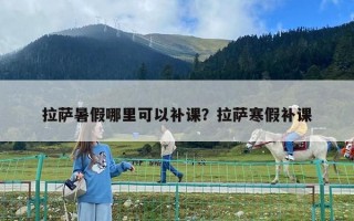 拉薩暑假哪里可以補(bǔ)課？拉薩寒假補(bǔ)課