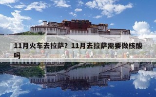 11月火車去拉薩？11月去拉薩需要做核酸嗎