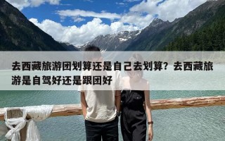 去西藏旅游團劃算還是自己去劃算？去西藏旅游是自駕好還是跟團好