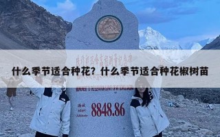 什么季節(jié)適合種花？什么季節(jié)適合種花椒樹(shù)苗