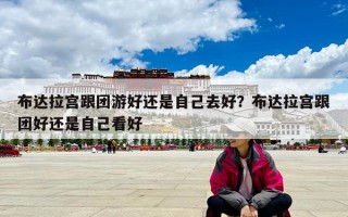 布達拉宮跟團游好還是自己去好？布達拉宮跟團好還是自己看好
